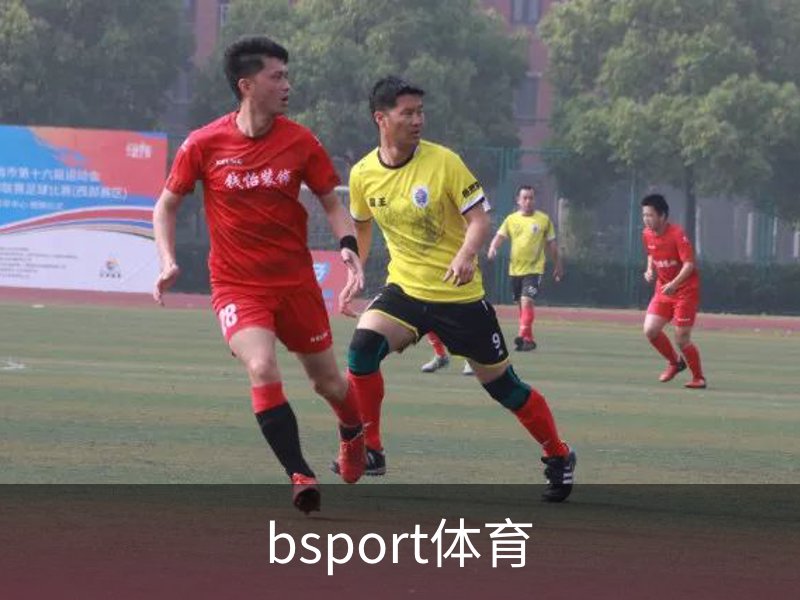了解bsport体育